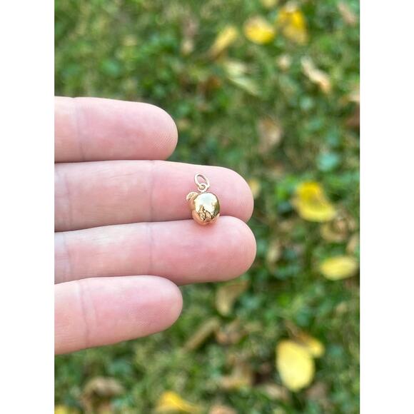 14K Gold Plated Necklace with Bronze Apple Charm - Picture 3 of 4
